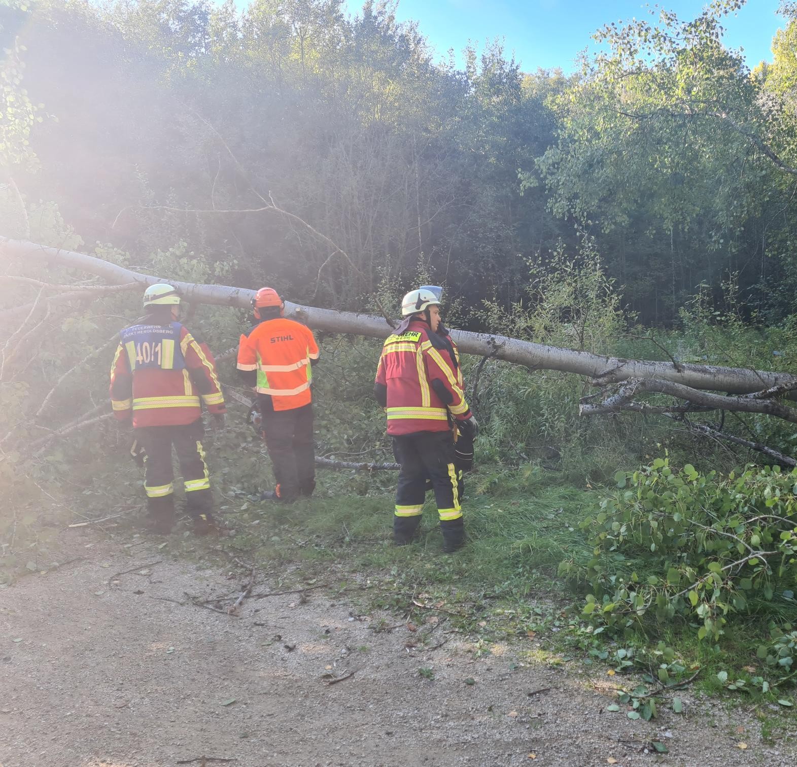 20251003_162541 zugeschnitten.jpg